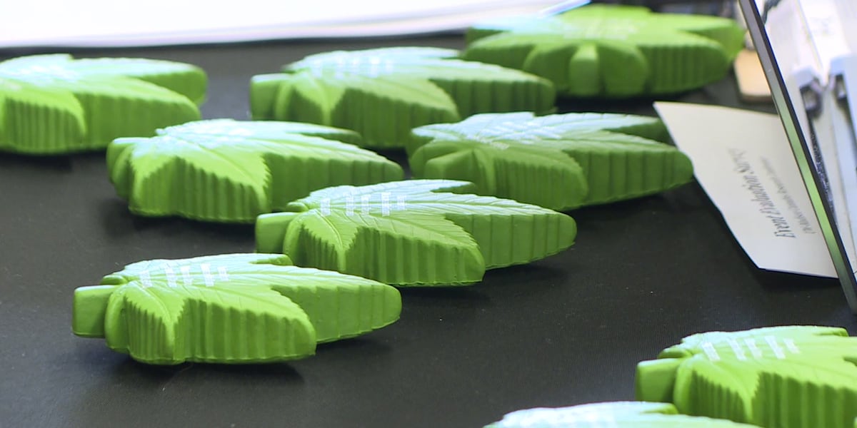 The crossroad of cannabis and construction