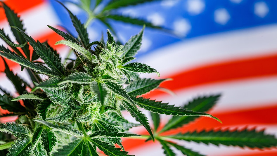 US House Members Introduce Bipartisan Bill to Lay Groundwork for Federal Cannabis Legalization