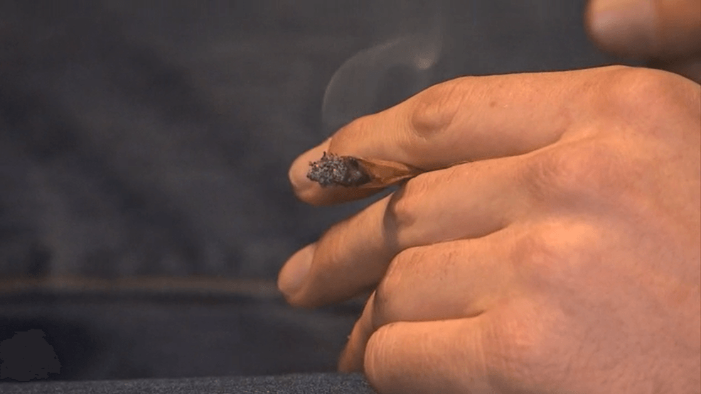 Study links cannabis use to increased dementia risk