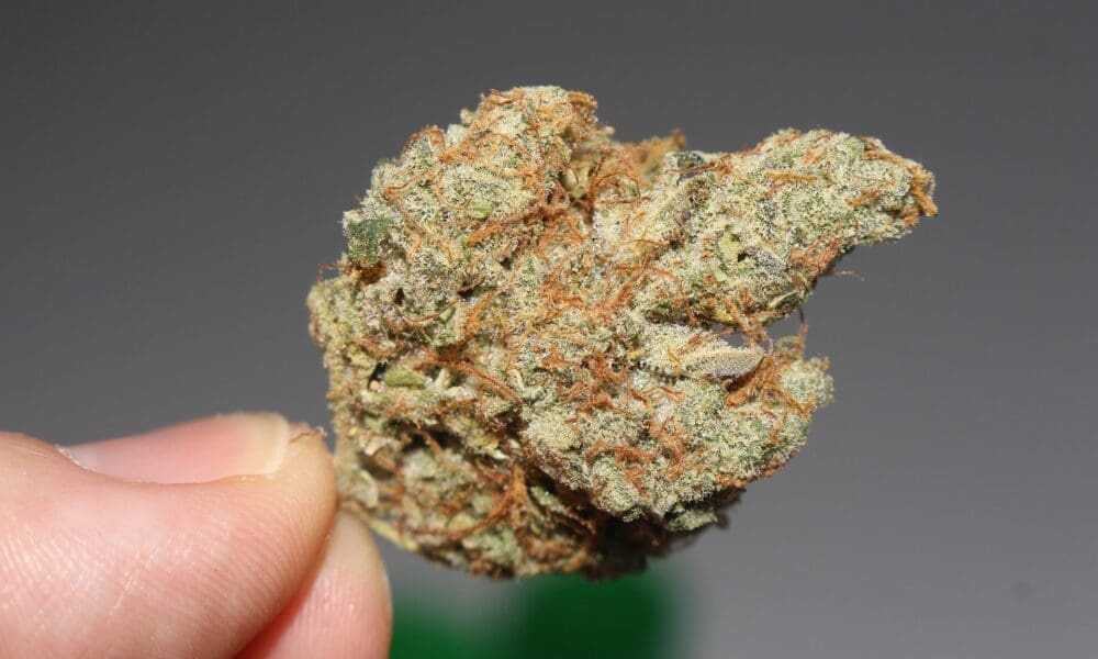 Virginia GOP Governor Vetoes Recreational Marijuana Sales Legalization Plan