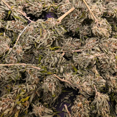 Upstate town sees benefits of cannabis tax revenue