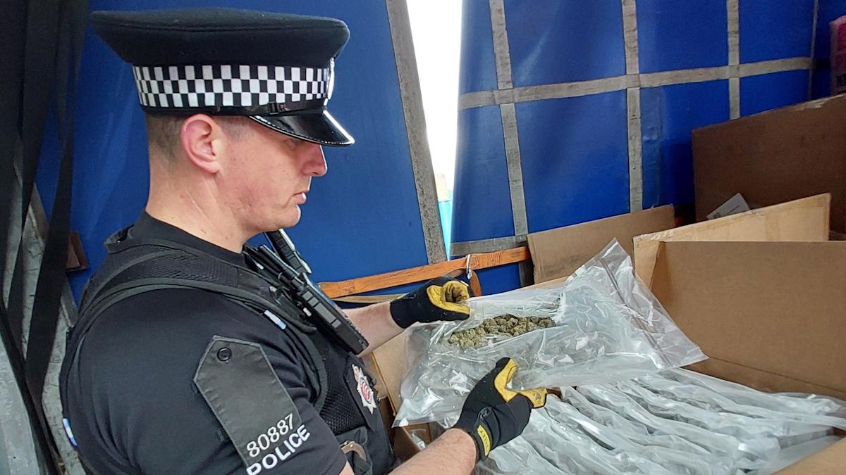 Cannabis worth £1m seized by police