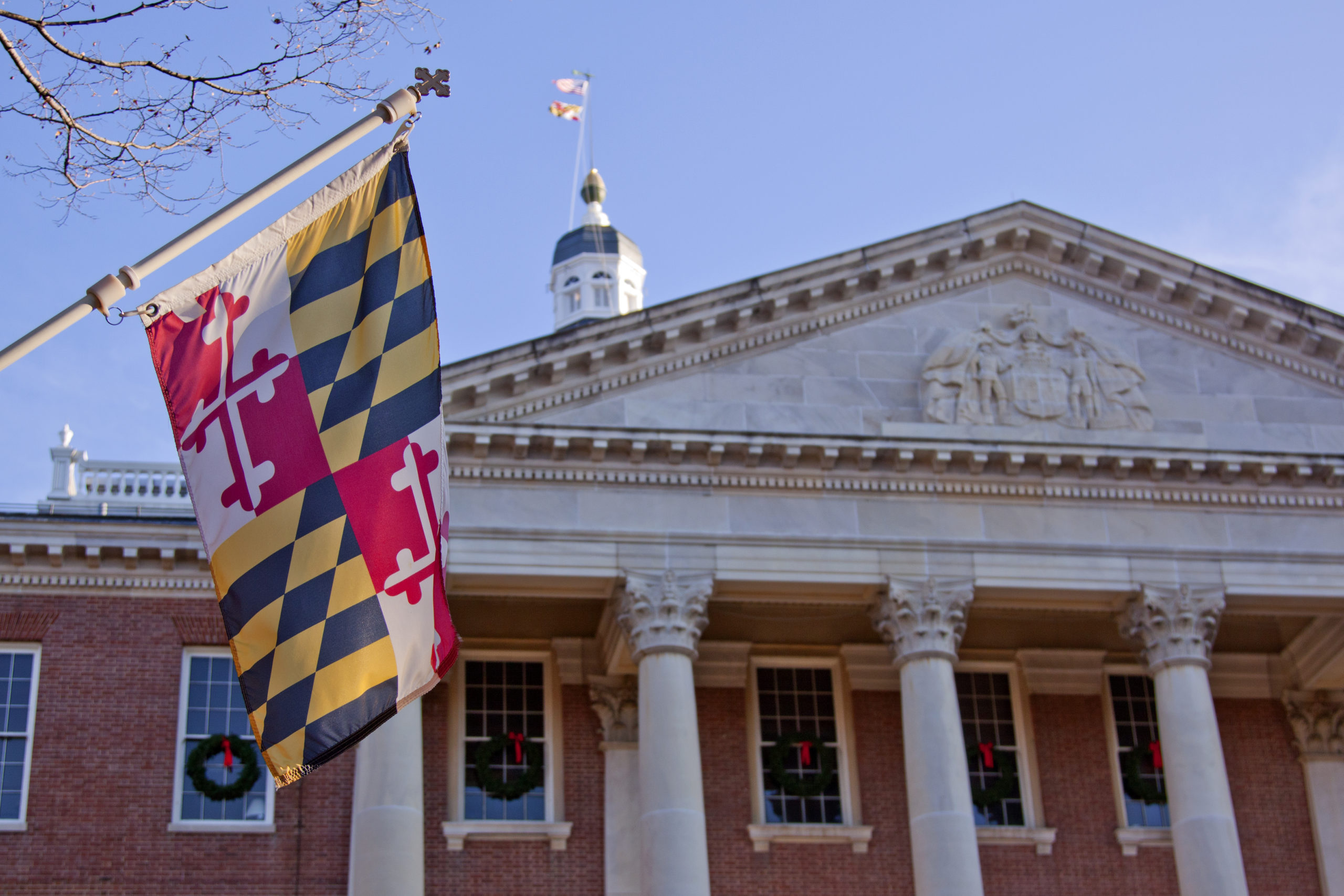 Maryland cannabis grower fined $65k, placed on probation following regulatory violations