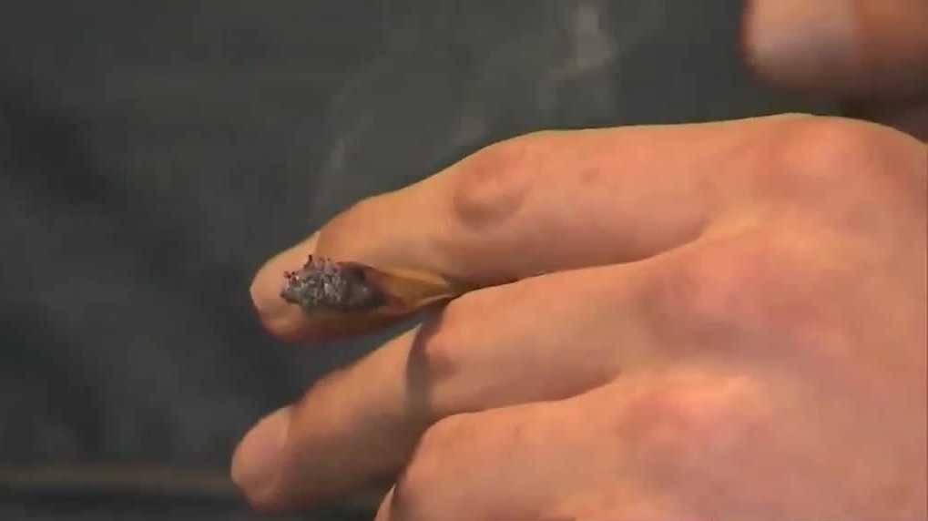 Alabama judge overturns medical marijuana licenses, halts relief for suffering patients
