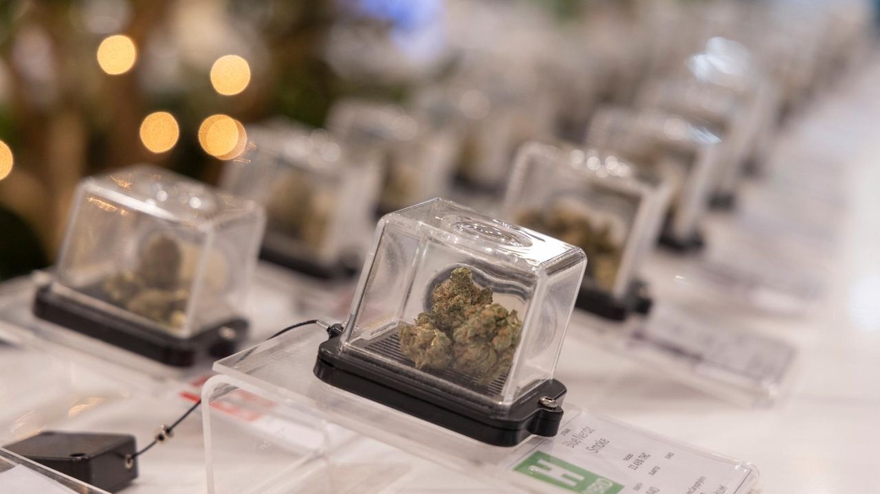 Town of Babylon to update cannabis law to include displays