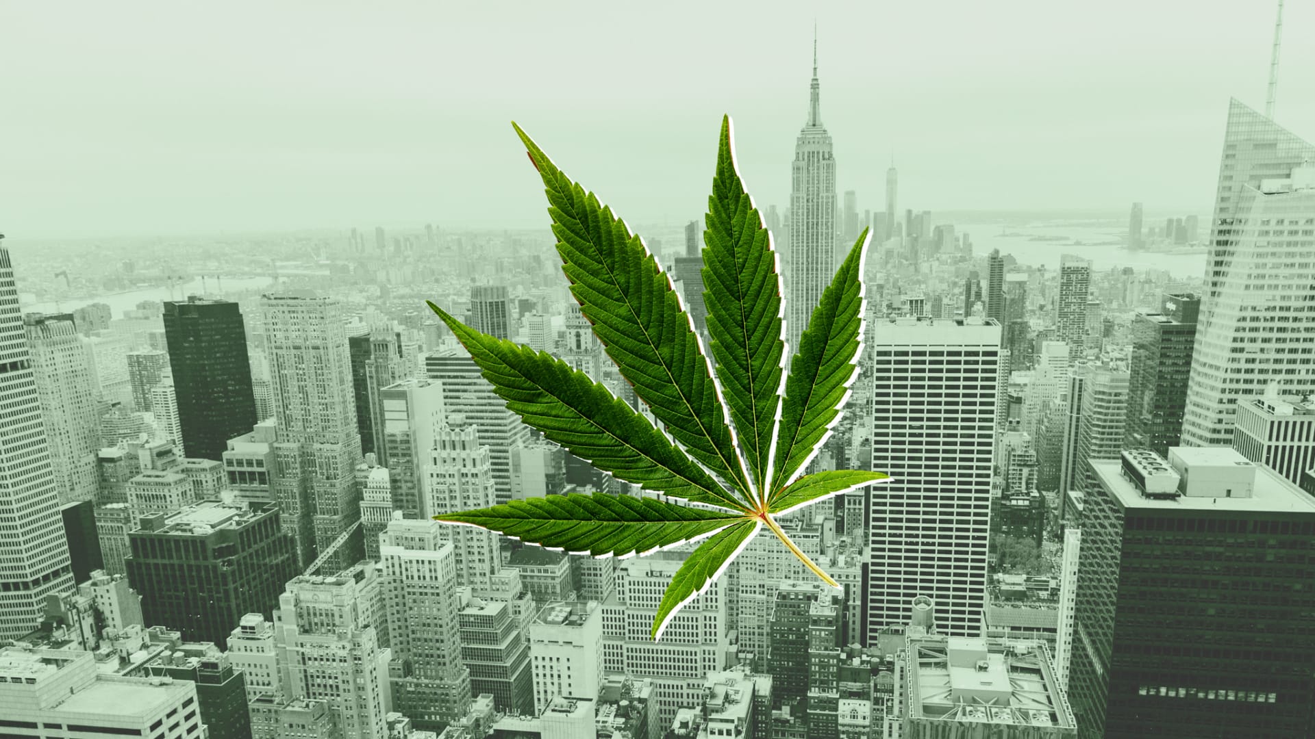 NugHub NY: Staten Island's 1st Legal Weed Delivery Service Launches Today with FREE Delivery