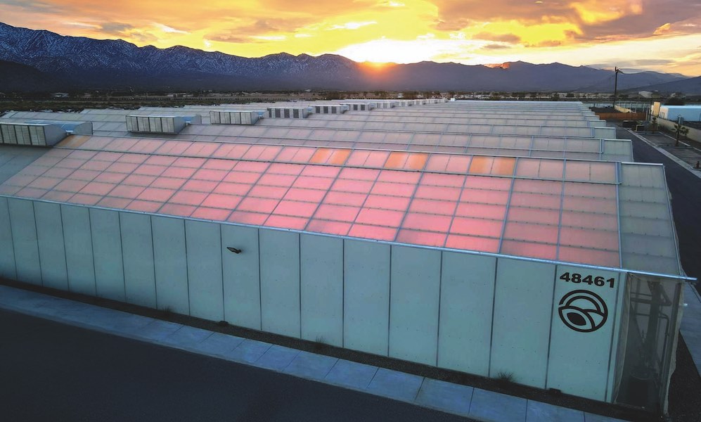 Green Horizons cannabis grow