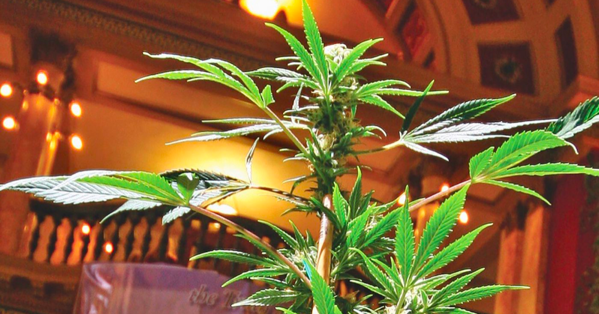 Montana passes cannabis bill to benefit Indian tribes | News