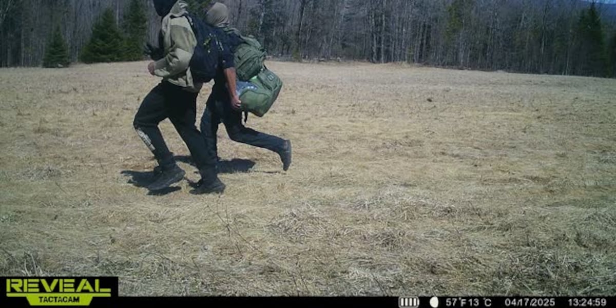 Norwich University students arrested for theft at Caledonia County cannabis farm