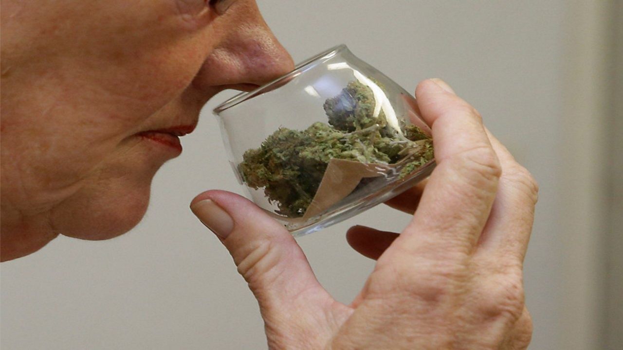 N.Y. cannabis sales reached over $1B from 260 sites