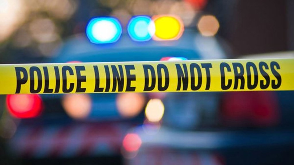 $2.7 million in illegal cannabis seized in Anaheim near Angel Stadium – Daily News