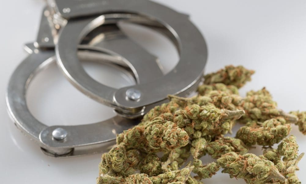 Trump-Appointed U.S. Attorney Says His 'Instinct' Is Medical Marijuana Dispensary Shouldn't Be 'In The Community' As He Warns Of Federal Prosecution