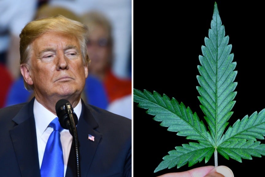Donald Trump's DEA Nominee: Reviewing Cannabis Rescheduling Will 'Be One Of My First Priorities'