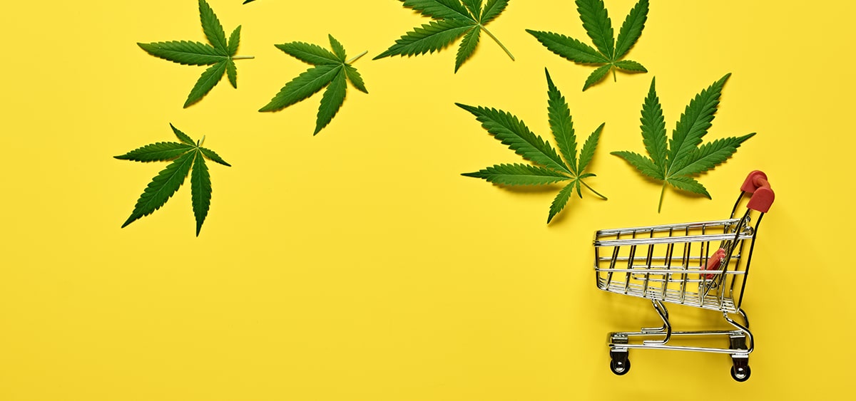 Report: New York Home to 500+ Cannabis Brands