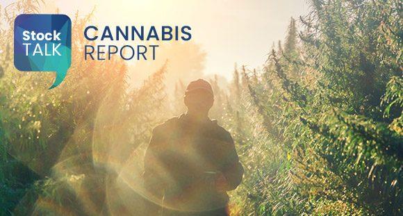 StockTalk | Cannabis Report: Shareholders lawyer up and go rogue | 2025-05-23 | Investing News