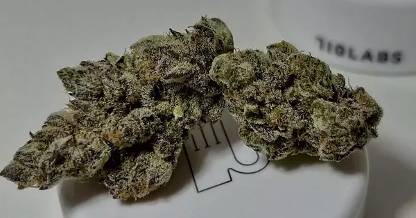 The future of Michigan cannabis depends on what you buy