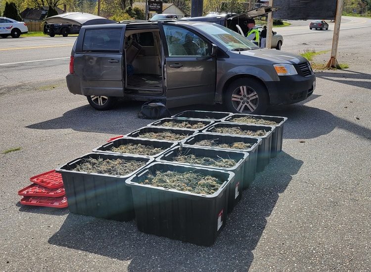 stopped minivan found with kilos of cannabis