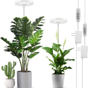 cannabis growing lights