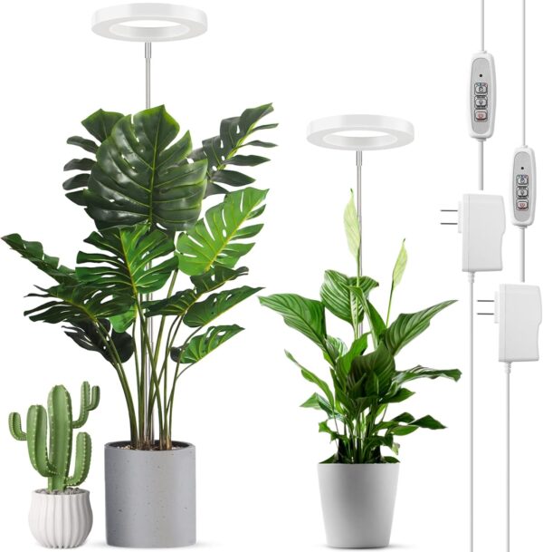 cannabis growing lights