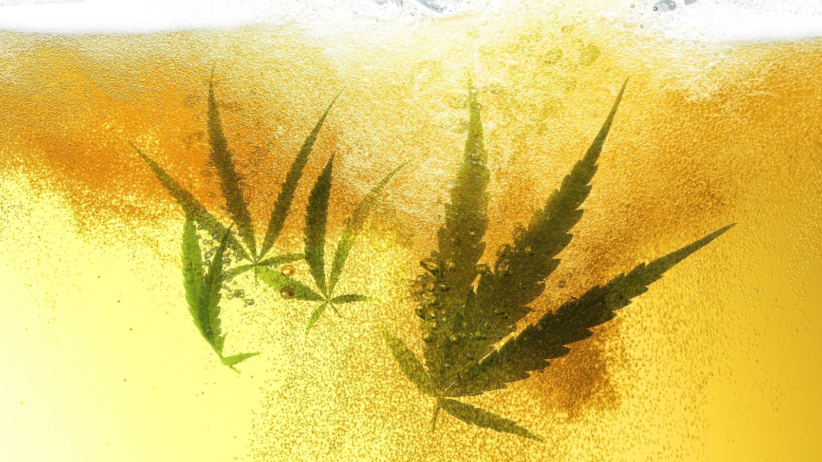 Why One-Time Cannabis Darling Tilray Is Now High On Beer