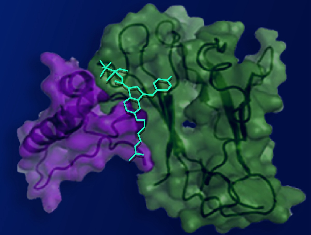Compound harnesses cannabis’ pain-relieving properties without side effects – WashU Medicine