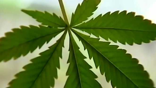 Pennsylvania House committee approves marijuana legalization bill