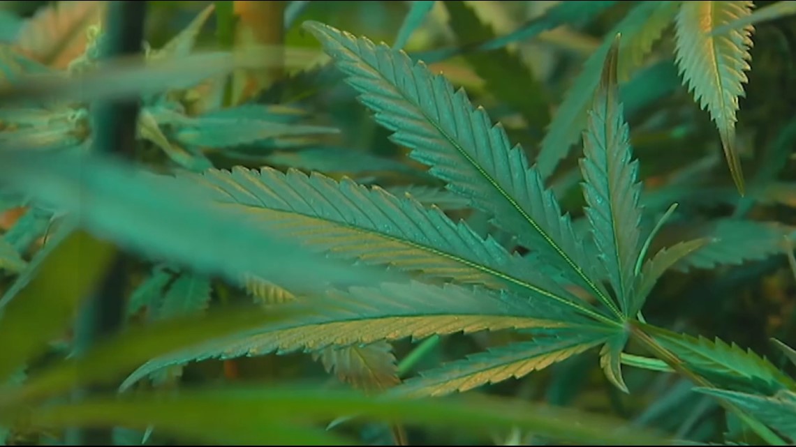 Pennsylvania House committee backs weed legalization proposal