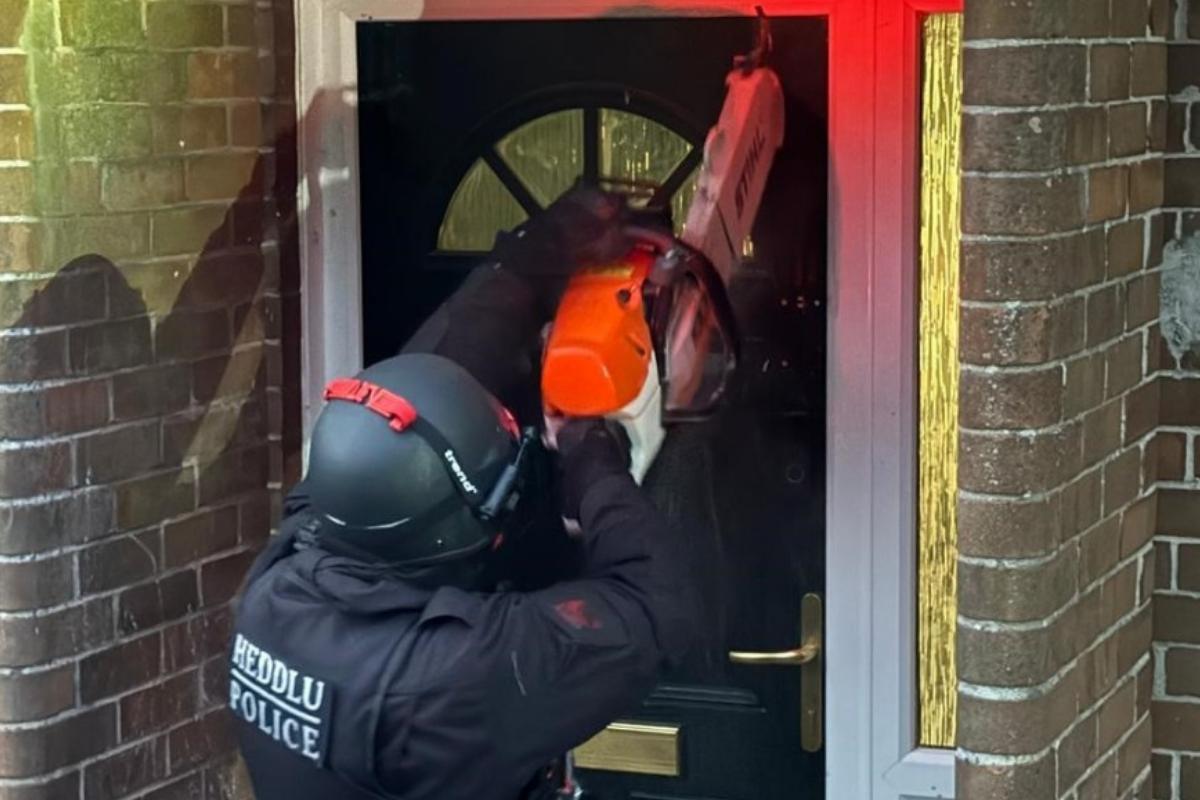 Person arrested and ‘large quantity of cannabis’ seized during raid