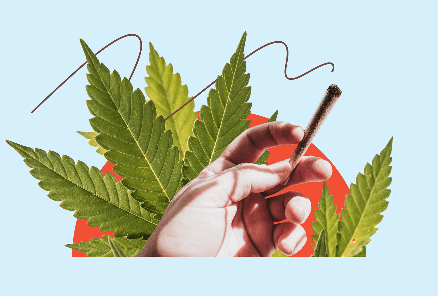 Can Smoking Cannabis Harm Your Lungs? Pulmonologists Weigh In