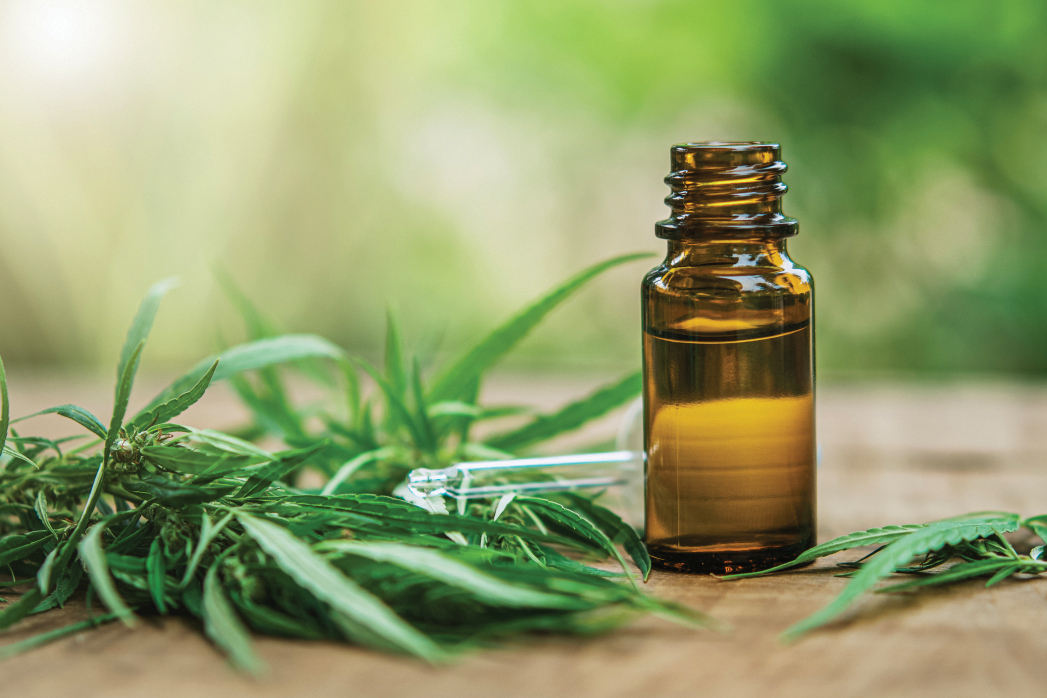 Legal Services: New Practice Area Is Creating a Buzz - Lane Report