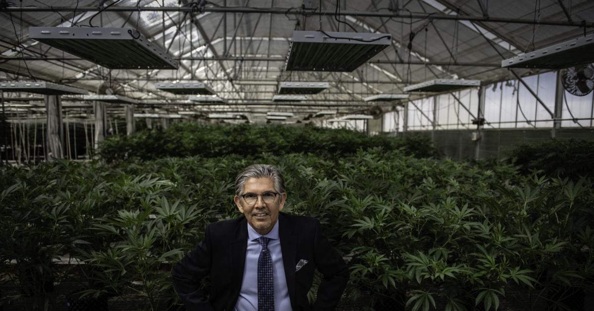Cannabis executive and former cabinet secretary considering run for governor | News