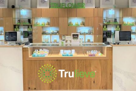 Trulieve’s Q1 Was Flat to 2024-Q1 – New Cannabis Ventures