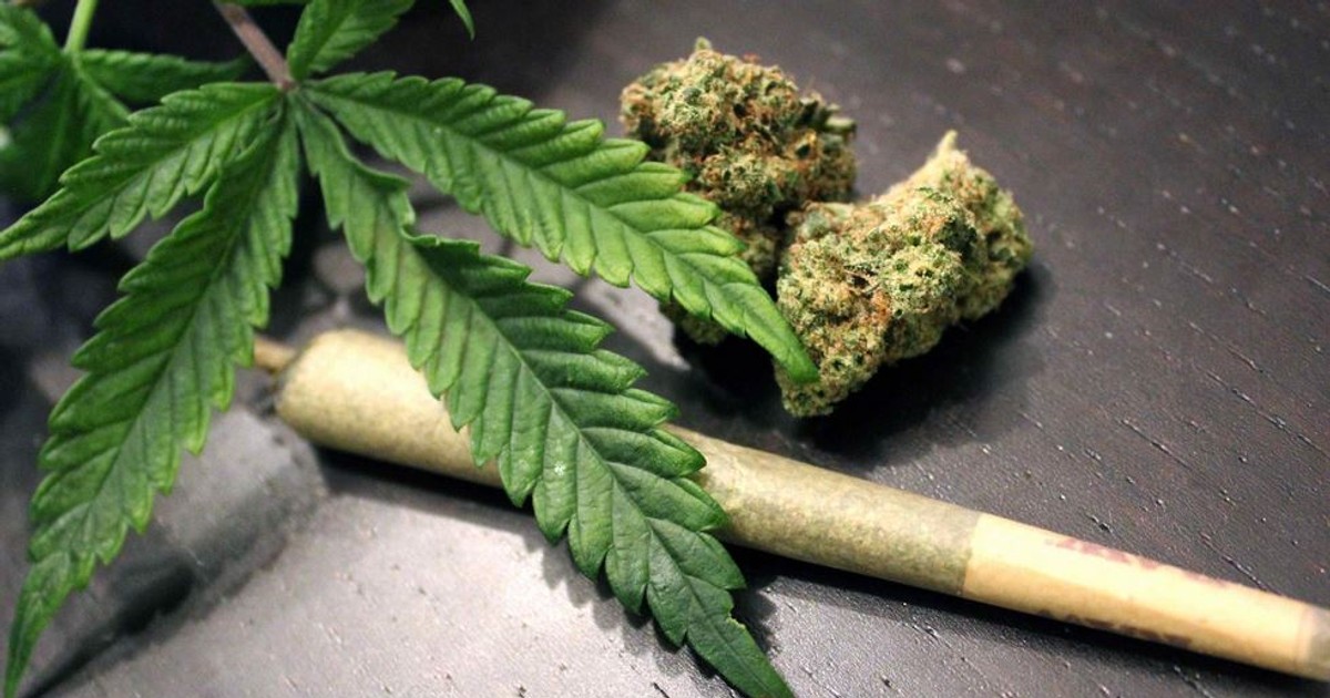 South Africa to revise cannabis food laws amid public backlash