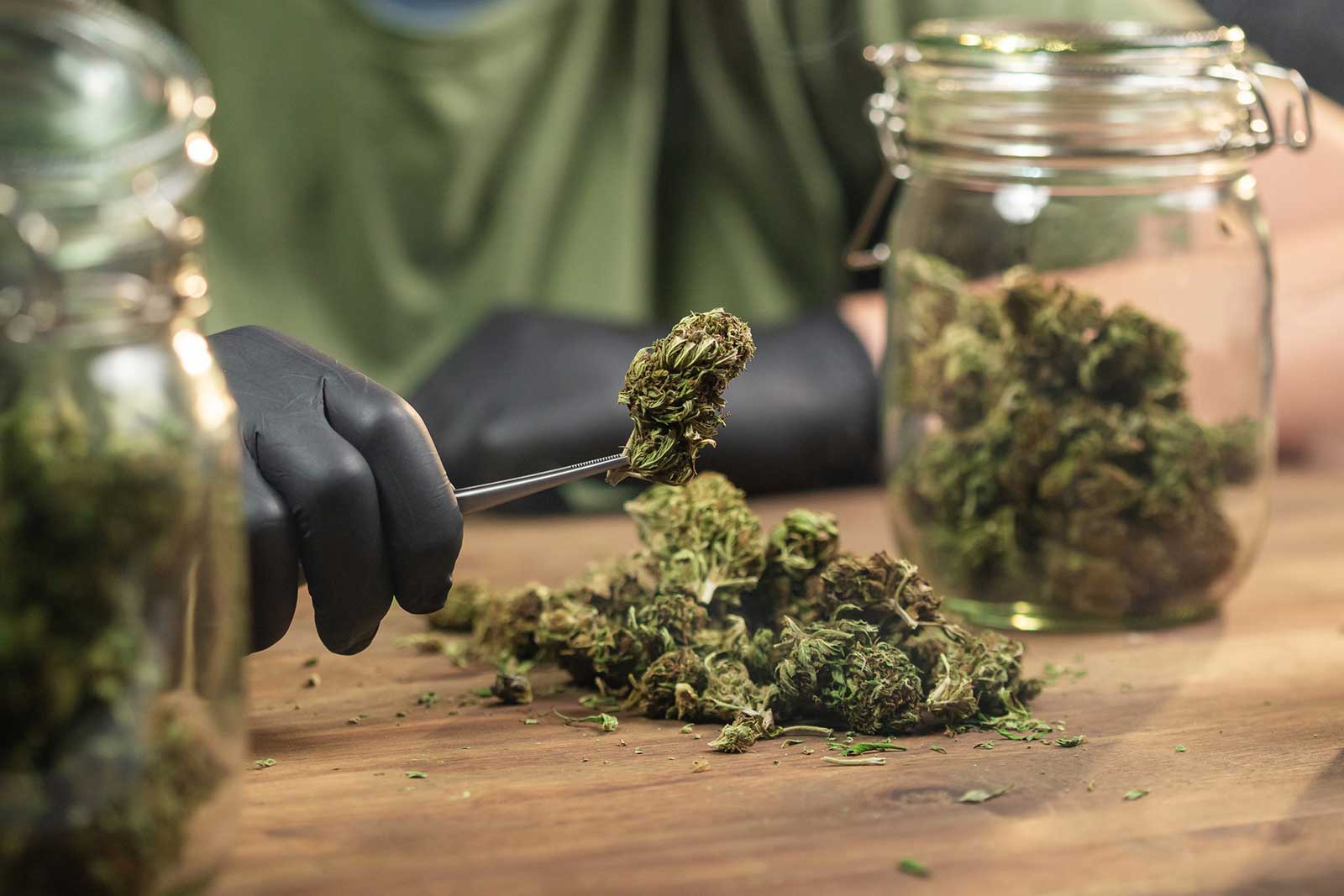 Jersey City Cracks Down on Cannabis Licensing With New Caps, Criteria, and Oversight