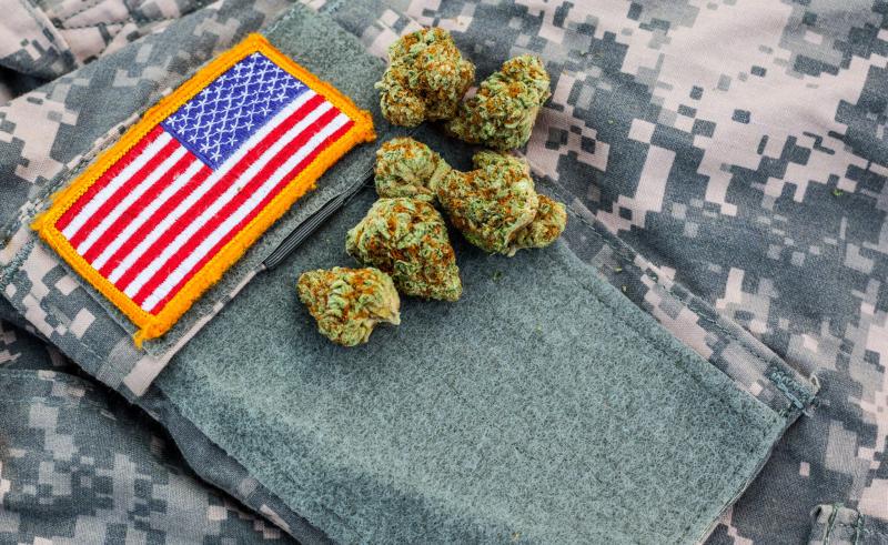 Majority of Veterans Support Medical Marijuana Access Through VA Doctors, Report Finds | stupidDOPE