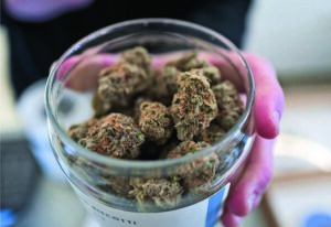 Redmond to begin accepting cannabis dispensary applications