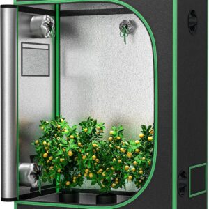 cannabis accessories growing