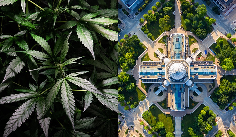 Wisconsin Cannabis Legalization Hopes Fade as GOP Lawmakers ‘Gut’ Governor’s Budget