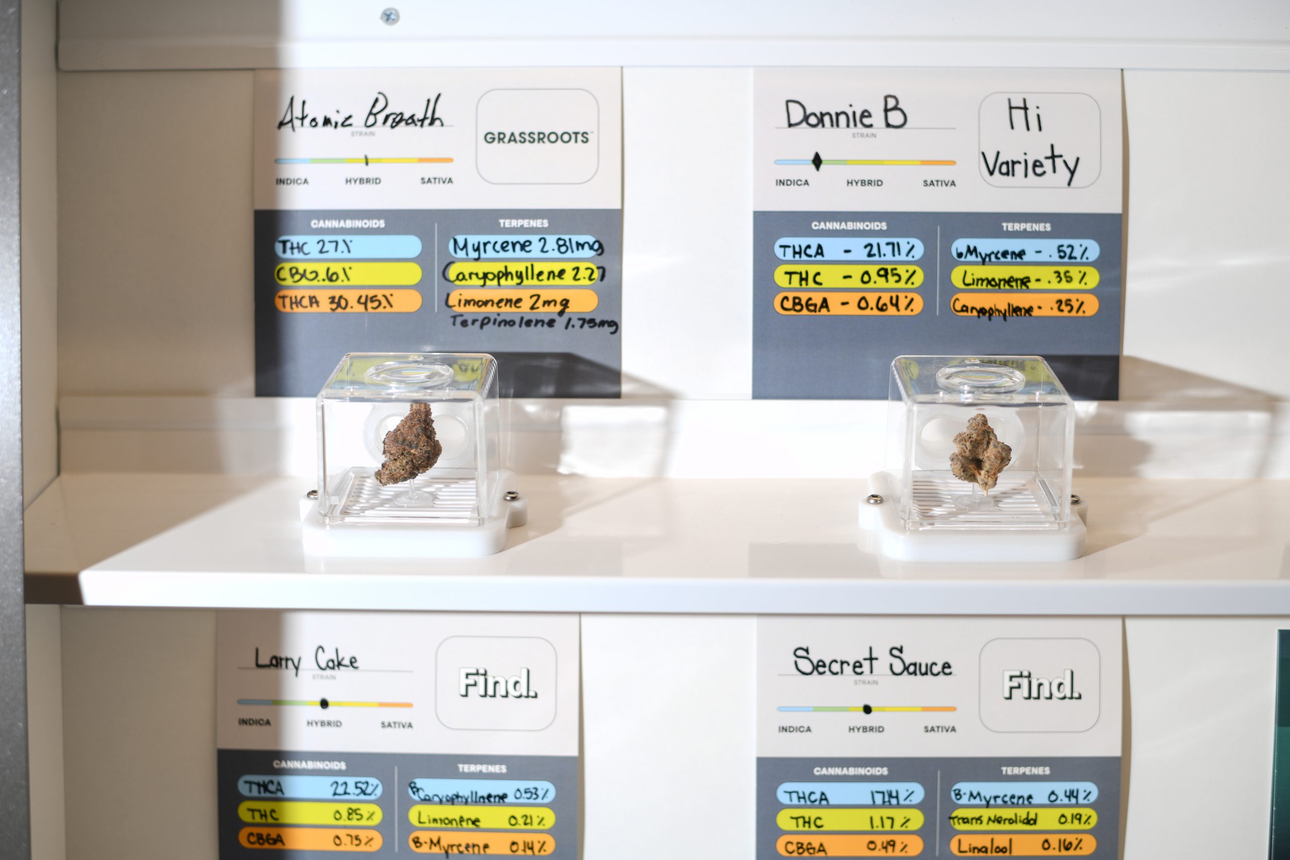 Medical providers, pharmacists help patients see if cannabis is right for them