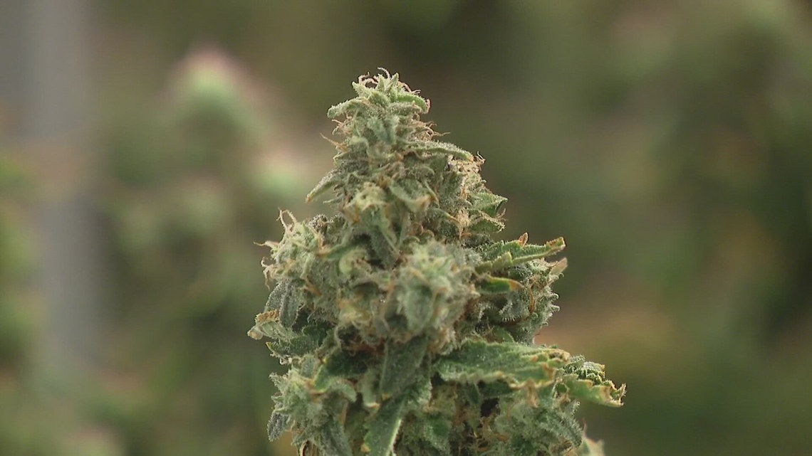 Opponents speak out against making changes to Ohio’s marijuana law