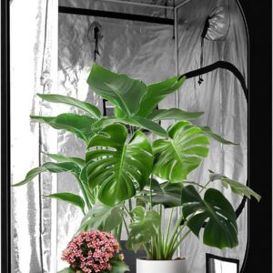 cannabis accessories growing