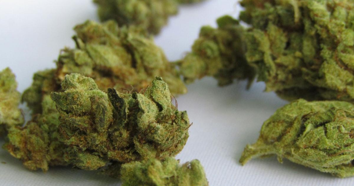 WATCH: IL bill addressing raw cannabis smell in vehicles advancing | Illinois