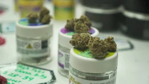 In the Weeds: Immigrants & NY's Legalized Cannabis Industry