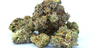 Survey: Cannabis Attitudes In Texas