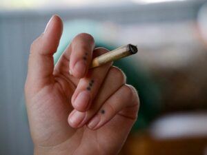 Mundelein the latest example of evolving cannabis industry