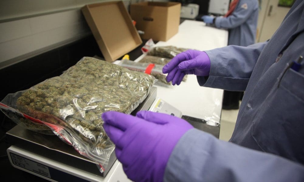 Alabama Medical Marijuana Regulators Advance Testing Lab Application And Discuss Ongoing Litigation