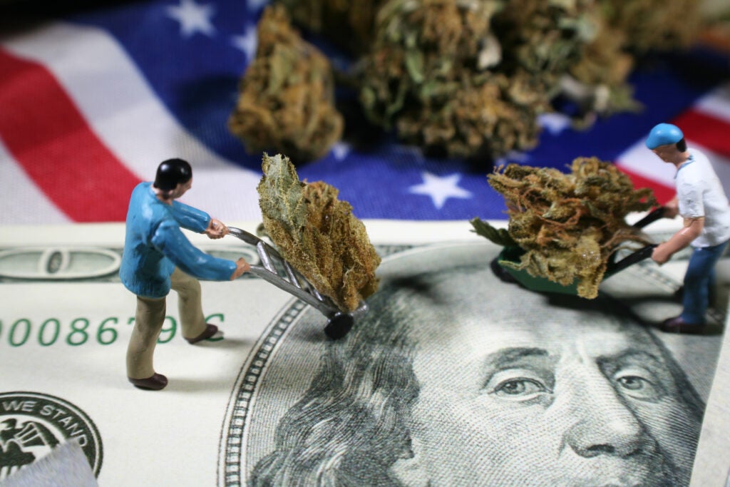 Cannabis Sales Are Up, But Jobs Are Down: Why Insiders Call It A Strategic Reset For Survival