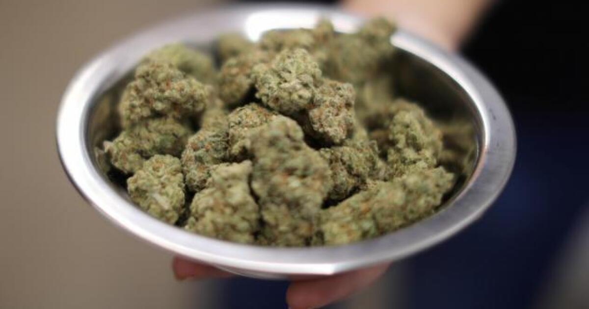 Las Vegas Paiute Tribe looks at cannabis expansion amid declining sales