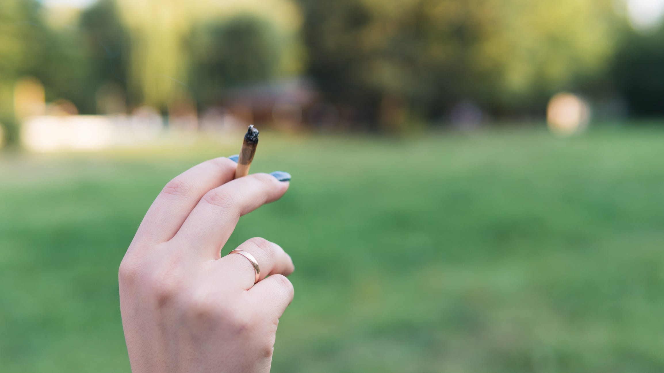 Minneapolis Parks new cannabis policy but without citations