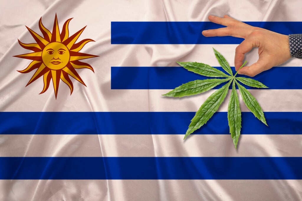 Legal Cannabis, 10 Years Later: Real Data From The First Country To Do It